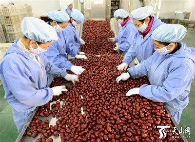 新疆阿拉爾墾區(qū) 紅棗嚴格分級打造品牌，助推農(nóng)副產(chǎn)品升級
